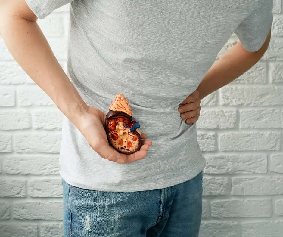 IF YOUR KIDNEY IS IN DANGER, The Body Will Give You These 7 Signs