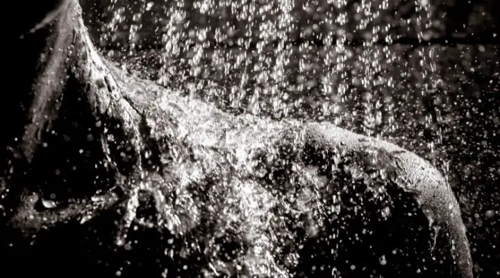 DOCTORS WILL NEVER TELL YOU ABOUT THIS: 4 REASONS WHY YOU SHOULD ALWAYS URINE IN THE SHOWER!